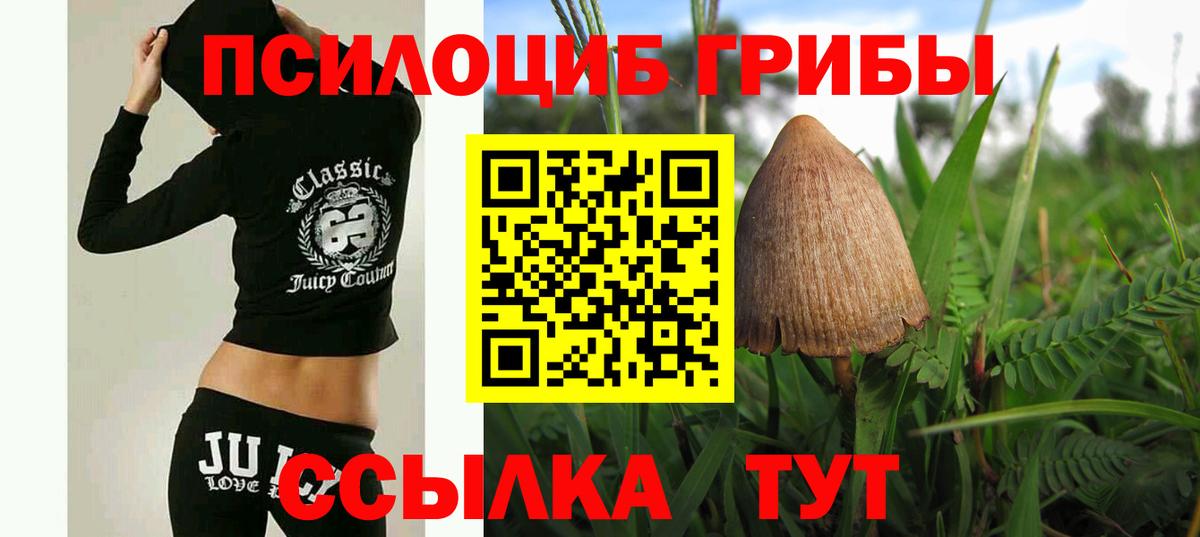 Дедовск  Галлюциногенные грибы GOLDEN TEACHER  Вход с VPN 